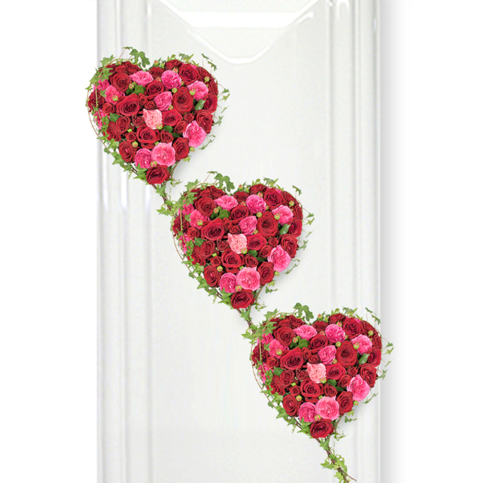 This photograph captures a beautifully composed trio of heart-shaped floral tributes, carefully positioned in a vertical cascade so that the top heart gently leads the eye down to the second and then to the third. Each heart is formed from an opulent covering of roses, crowded so closely together that no foliage shows within the centre, creating a saturated carpet of bloom. The dominant hue is a rich, velvety red, evoking deep love and respect, while clusters of bright fuchsia and softer blush pink roses are woven throughout, adding nuance and a sense of tenderness appropriate for a final goodbye. The roses vary in openness: some are just beginning to unfurl, with tight, spiralling centres, while others are wide and generous, their petals curling outward to catch the light. Around the outside edges, slim ivy vines trace each heart's outline, their small, pointed leaves a fresh, glossy green. These vines stream downward and sideways, linking the hearts in a natural, unforced way, suggesting continuity of love even after loss. The arrangement is set against a pristine white vertical surface, reminiscent of a display panel in a quiet North Ockendon chapel or funeral home, where light falls gently and evenly. There are no distractions in the background, so the viewer's focus remains squarely on the vivid colours and intricate craftsmanship. This triple heart design feels particularly suited for a partner, close family member, or dear friend, combining the romance of classic roses with the symbolism of interlinked hearts. It speaks to long-lasting devotion and shared memories, offering a visually powerful yet soft expression of sympathy and farewell.