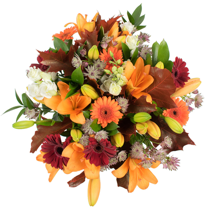 This elevated view of a lavish autumn bouquet reads as a miniature landscape of fall: bright orange Asiatic lilies unfurl like beacons, their wide, trumpet-shaped petals glossy and saturated, while numerous compact lily buds in green and apricot hint at soon-to-open blooms that will lengthen the arrangement's life. Cheery orange Gerbera daisies alternate with deep burgundy-red Gerberas, creating rhythmic pops of colour that feel both festive and rustic. Interspersed among these are pale, creamy lisianthus with ruffled layers that offer softness and a gentle contrast to the vivid hues, and delicate clusters of purple-grey Astrantia that introduce a fine, lace-like texture. Significant visual anchors are the broad, lobed leaves in rich chestnut and brown-red tones-oak-like foliage intentionally placed to echo fallen leaves on a crisp path-balanced by sprigs of fresh green foliage that bring clarity and lift to the palette. The bouquet is composed densely and thoughtfully, photographed against a pure white backdrop so colours read true, each surface catching the light in a way that suggests a late-afternoon glow. As a florist familiar with the rhythms of North Ockendon and neighbouring communities, I imagine delivering this arrangement to a family gathering near the village green or placing it as a welcoming centrepiece for an autumn table in Upminster or Hornchurch. The overall impression is abundant and tactile: warm, celebratory, and full of the quiet joy of harvest-time blooms tended with care and professional craft.