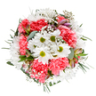 This vibrant bouquet brings the spirit of North Ockendon's springtime directly into your living space. At its heart, pure white daisies with lively lime centers shine brightly-flanked by sumptuous ruffled carnations in coral-pink, casting a warm, inviting glow not unlike a cheerful gathering on Peartree Lane. Clouds of white gypsophila drift like gentle mist between the blooms, lending the whole design an ethereal softness. Hints of fresh alstroemeria buds, lightly streaked with purple and magenta, offer a graceful nod to future blossoms and add a layer of sophisticated color. The arrangement's lush backdrop includes both matte, silver-green eucalyptus and darker, glossy leaves, their varied textures providing structure and visual contrast. Every flower is thoughtfully placed, creating a joyful, circular form that radiates energy and balance, reflecting the careful touch of North Ockendon's experienced florists. This bouquet is a fitting centrepiece for celebrations-whether for a bright birthday morning or a soothing gesture to cheer someone along South Road. It captures the gentle optimism and honest beauty of the local landscape in every expertly arranged stem.