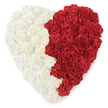 An overhead view of a densely packed heart-shaped tribute made entirely from fresh carnations, the left half composed of soft off-white or creamy carnations and the right half formed of saturated, deep red carnations. The two colour fields meet along a clean vertical divide, the petals crowding tightly so that each ruffled bloom contributes to a plush, almost textile-like surface. Under soft, neutral studio light the layered, crinkled petals catch subtle shadows and highlights, giving the heart gentle depth and a tactile, cushiony appearance. The left side's pale carnations suggest quiet comfort and remembrance; the right side's crimson blooms bring warmth, passion and a bold visual counterpoint. The overall effect reads as both intimate and formal, a piece that could serve as a loving memorial, a patriotic emblem, or a statement of dual feeling. Because the composition evokes the white-and-red palette of Bahrain's national colours, the design also carries cultural resonance for occasions tied to Bahraini identity or celebration. A local florist's hand is apparent in the even spacing, the carefully smoothed outer curve, and the subtle, organic waviness of the central seam where the hues meet. Imagined in the context of North Ockendon - set against the clear white backdrop like a floral banner on a quiet village green or prepared for delivery to a service near Rainham Marshes - this heart reads as a considered gesture: tactile, fragrant with the faint sweet spice of carnations, and balanced with a gentle dignity that comforts as much as it declares.